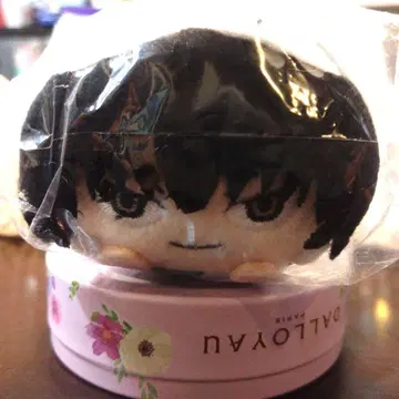 호오즈키의 냉철 모찌코로링 하쿠타쿠