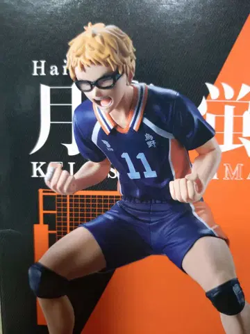 츠키시마 케이 피규어 작은 히나타 포함