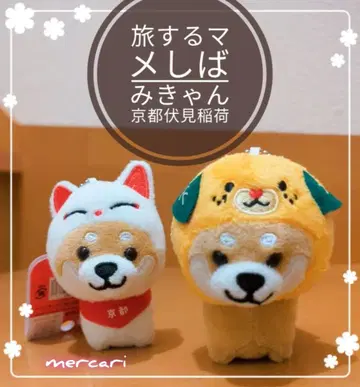 여행하는 마메시바 에히메 한정 미컁 & 교토 후시미 이나리