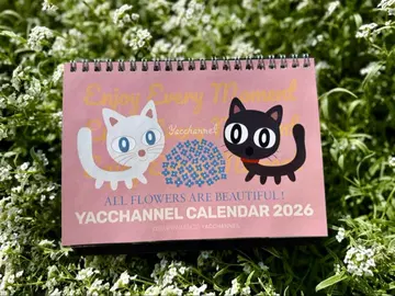 New 벽걸이 달력 & 탁상 달력 2권 세트