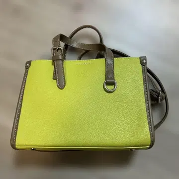 피스타치오색 숄더백 2WAY