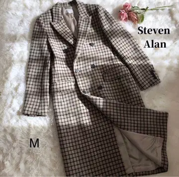 스티븐 앨런 체스터 코트 체크