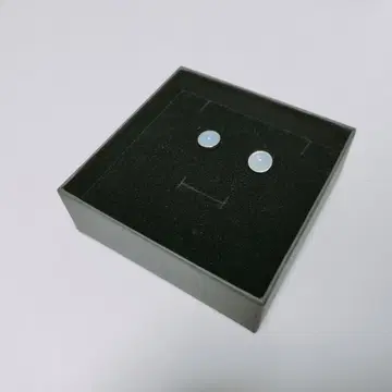 스테인리스 귀걸이 오팔 10mm