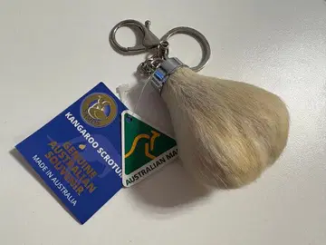 캥거루 금색 알 키링 호주 기념품