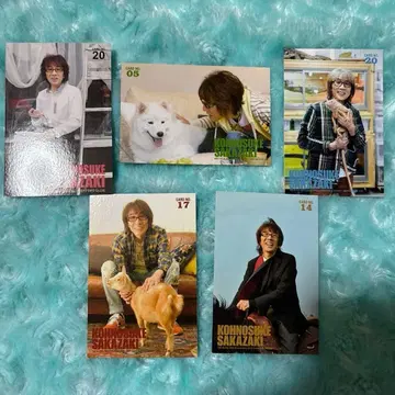 THE ALFEE 사카자키 코노스케 씨 트레이딩 카드 5장