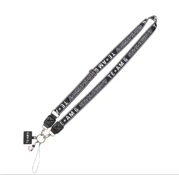 이와타 타카노리 숄더 스트랩