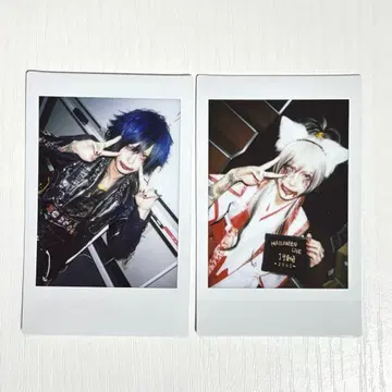 영[Hz] 폴라로이드 Rio