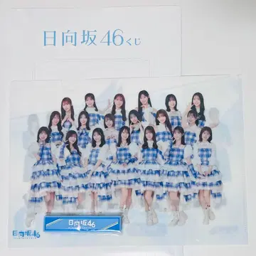 히나타자카46 복권 클리어 파일 전 멤버 전원 로손 엔터테인먼트 복권