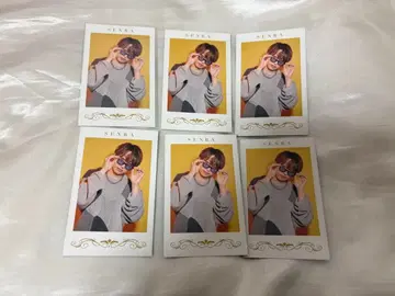 [ 익명 배송 ] 센라 포토 카드 폴라로이드 MARCEL 마르셀 6점