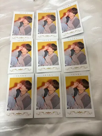 [ 익명 배송 ] 센라 포토 카드 폴라로이드 MARCEL 마르셀 9점