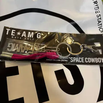 이와타 타카노리 TEAM G SPACE COWBOY 키링