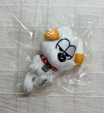 ONE N' ONLY 스와 군 봉제 인형