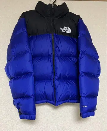 THE NORTH FACE 1996 레트로 눕시 다운 자켓