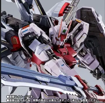 스트라이크 루즈 오오토리 장비 메탈빌드 프리미엄 반다이 한정판