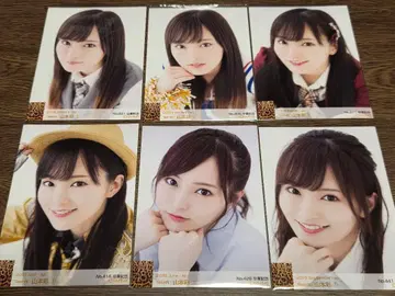 야마모토 사야 공식 사진 6장 세트