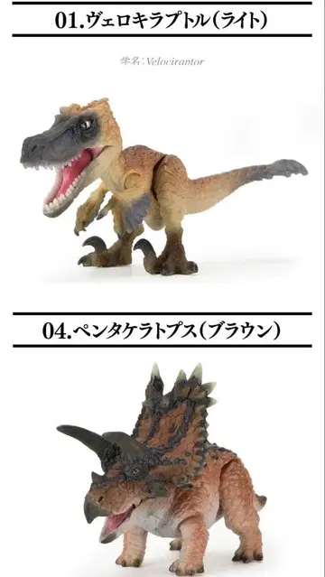 생물대도감 쁘띠 공룡 03 이종 세트