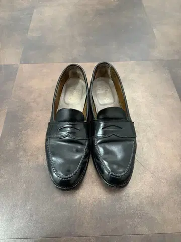 알든 브룩스 별주 페니 로퍼 코도반