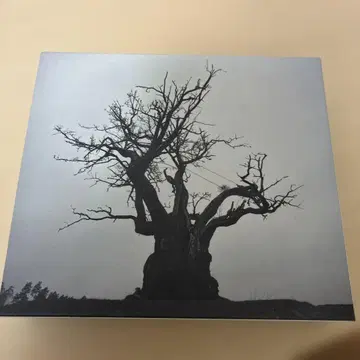 SEKAI NO OWARI 2010-2019