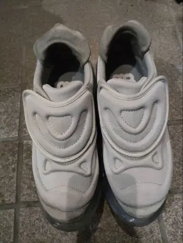 grounds MOOPIE NAZCA mikio sakabe 24cm