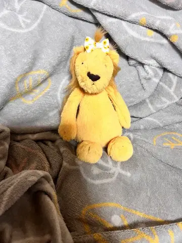 jellycat Bashful Lion S 구형