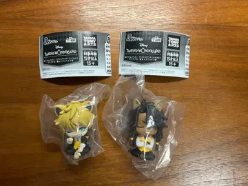 [트위스테] 어깨 쿵 Fig. 레오나 라기 세트