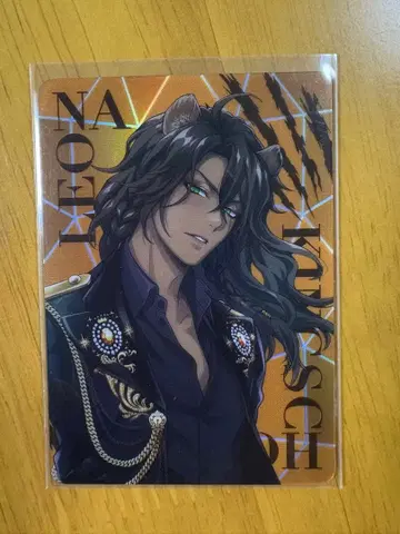 트위스테 오로라 카드 레오나