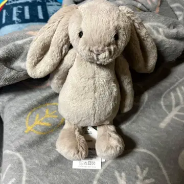 jellycat Little Bashful Beige Bunny