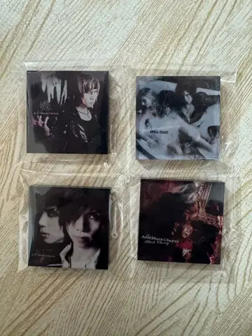 Acid Black Cherry 아크릴 마그넷 4매 세트