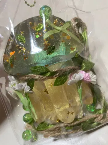 숲의 해파리 키라키라 스퀴즈