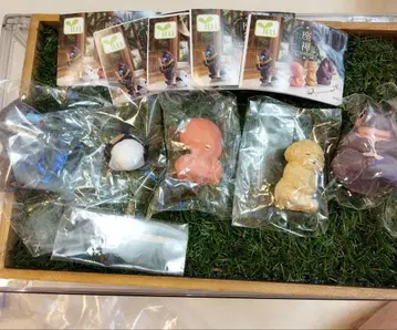 YELL 가챠 좌선 그 둘 5종 컴프 세트 미사용