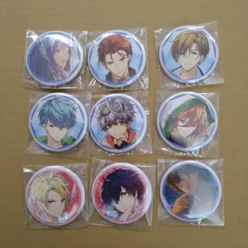 앙제리카 루미나라이즈 WonderGOO 캔뱃지 세트 익명 배송