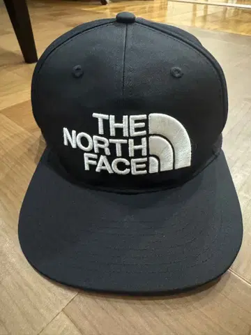 THE NORTH FACE 블랙 캡 1966 고어텍스