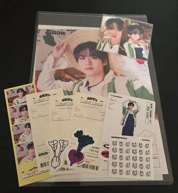 리노 컴프 세트