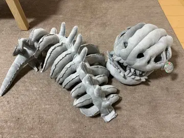 리얼 골격 디자인 봉제 인형 세트