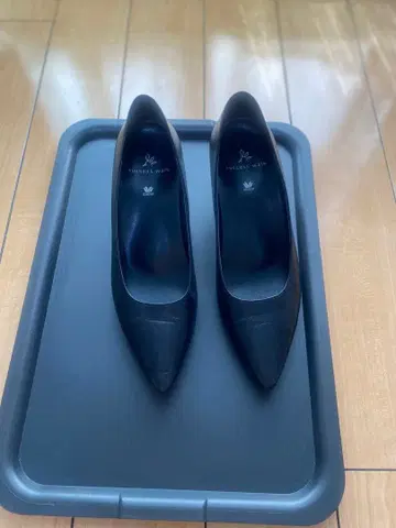 다이애나 펌프스 취업 와코루 서세스워크 22.5