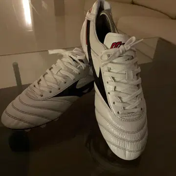 모렐리아 2 Japan