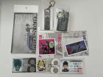 괴수 8호 호시나 소우시로 이치카와 레노 나루미 겐 시노미야 키코루