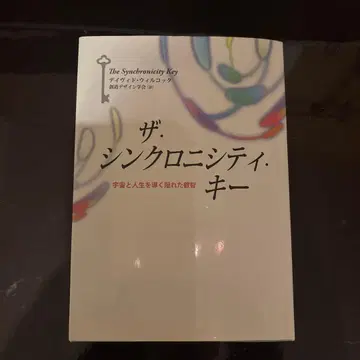 더 싱크로니시티 키 우주와 인생을 이끄는 숨겨진 지혜
