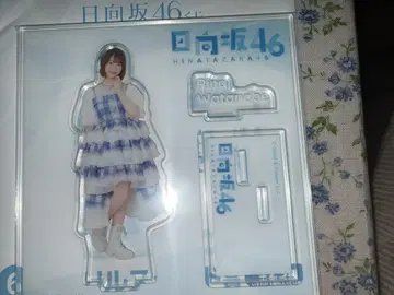 와타나베 리나 아크릴 스탠드