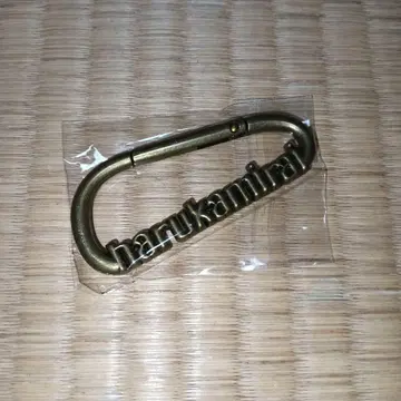 하루카미라이 카라비너