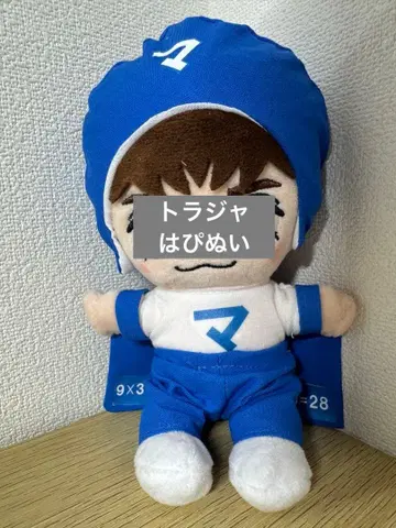 하피누이 코스튬