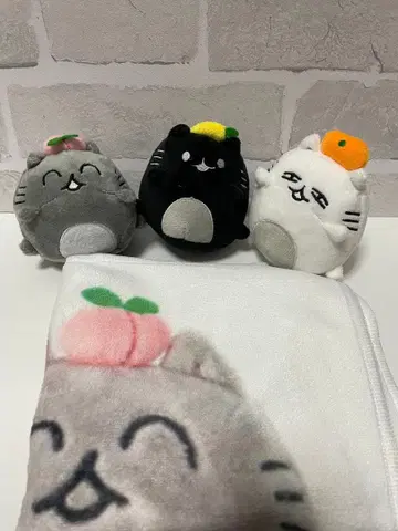 SEVENTEEN 아티스트 메이드 준 마스코트 키링 타월