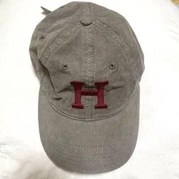 하버드 대학 Harvard university 캡