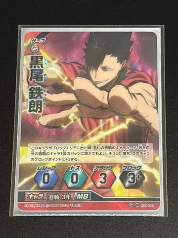 하이큐 호카 프로모 검은 꼬리 테츠로