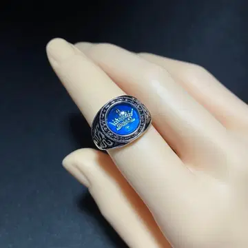 가정교사 히트맨 REBORN! 봉고레 반지 대공 반지 액세서리 잡화