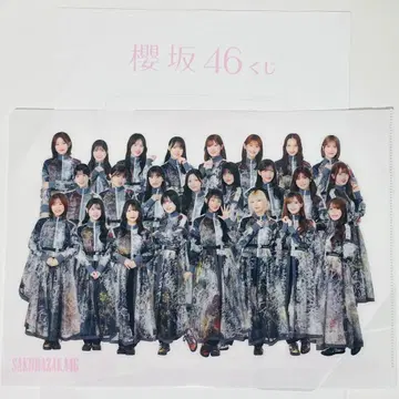 사쿠라자카46 복권 클리어 파일 전 멤버 전원 로손 2025