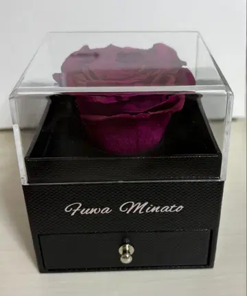 니지산지 후와 미나토 준브라이드 2024