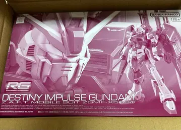 RG 1/144 데스티니 임펄스