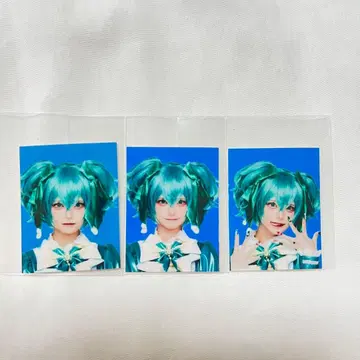 마도메도 MADMED 증명사진 후카이누마 세트