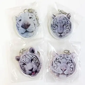 [ 한정판 ] 도부 동물공원 화이트 타이거 키링